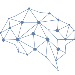 Cerebro Logistics Logo