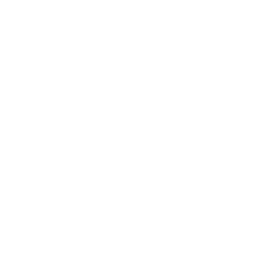 Cerebro Logistics Logo